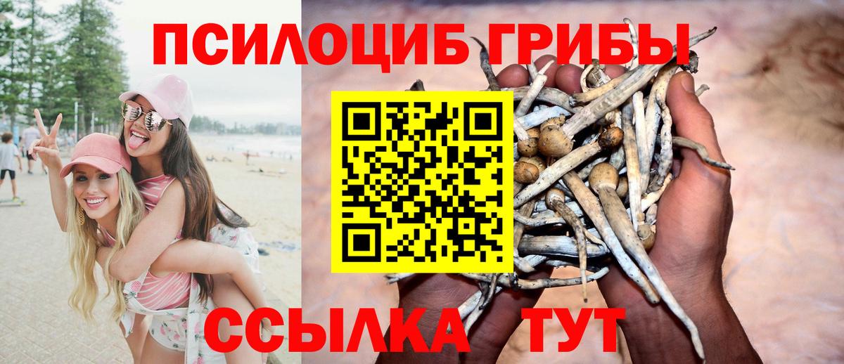 Псилоцибиновые грибы мухоморы  Вход с VPN  где купить наркотик  Соликамск 